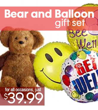 The Perfect Bear and Balloon Gift Set