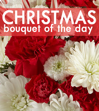 Christmas Bouquet of the Day