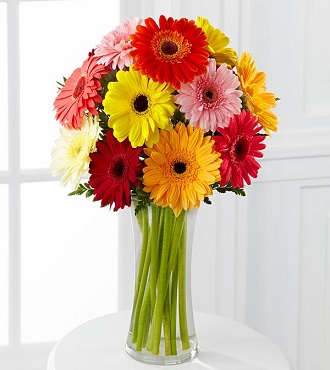 Colorful Health Gerbera Daisies Bouquet