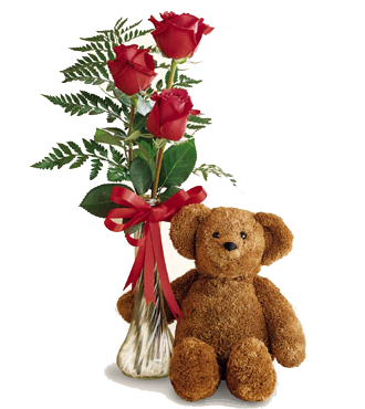 Get Well Bear with Roses