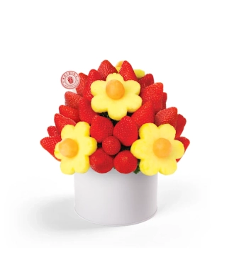 Blooming Daisies®