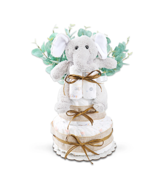 Wild About Baby Two-Tier Diaper Cake Gift