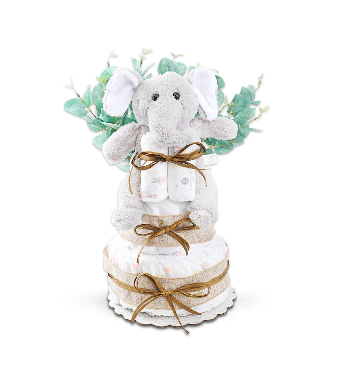 Wild About Baby Two-Tier Diaper Cake Gift